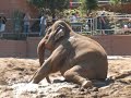 Zoo Denmark