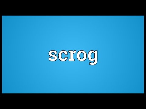 Header of scrog
