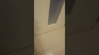 Espiando A Mi Hermana