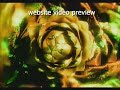 book of love pretty boys & pretty girls e nertia's revised edit mn 120watermark
