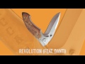 Revolution Video preview