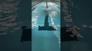 How Fast Can You Go On A 25M Backstroke From A Dive?
