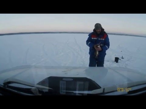 рыбалка в сарагаше рыбалка в сарагаше