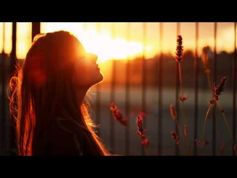 Chicane feat. Bryan Adams - Dont Give Up (Myon & Shane 54 Summer...