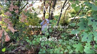 Ramassage de bois