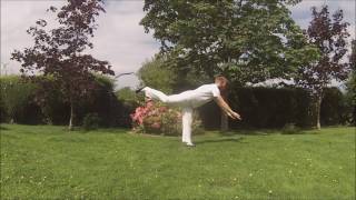 Yi Jin Jing Qi Gong