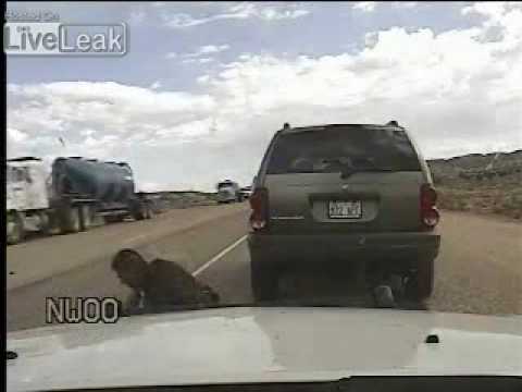 Ranker Video