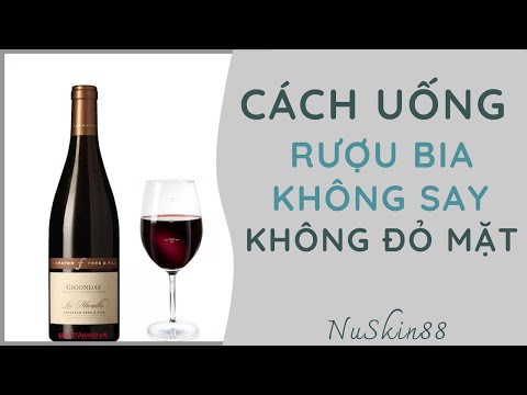 CÁC CÁCH UỐNG RƯỢU BIA KHÔNG SAY KHÔNG ĐỎ MẶT | 083.551.9999