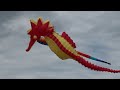 An invitation to the Frank Mots International Kite Festival in 2010