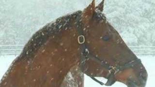 Watch Jim Reeves Blizzard video