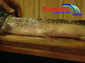 How to Fillet a Northern Pike - Fillet a Northern Pike with No Bones - Pike Cleaning