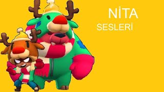 NİTA SESLERİ