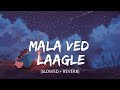 Mala Ved Laagale - [Slowed+Reverb] - Time Pass | Ketaki Mategaonkar,Swapnil Bandodkar | Music Vibes