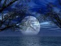 Talabér Erzsébet Vándorol a hold az égen