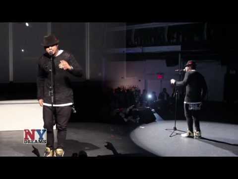 Yo Yo Honey Singh - Live in New York (Brown Rang)