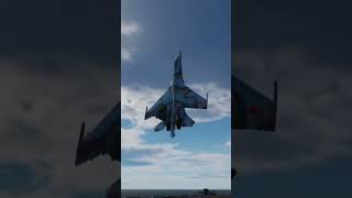 Su-27 Cobra Go Around In Dcs. #Shorts