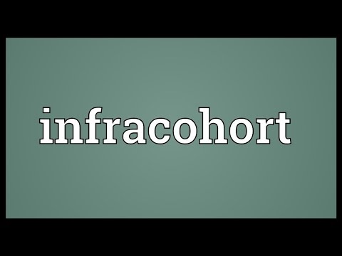 Header of Infracohort