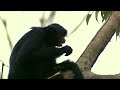 Isolated - Now in High Quality! (Full Documentary)