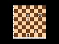 Chess Endgame: Lucena Position