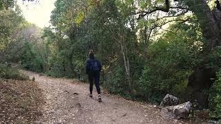 Hiking Woman Or Trail Stock Footage Copyright Free Background L Trees Forest Mountains