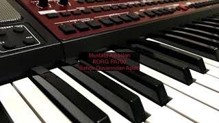Korg Pa700 & Bahçe Duvarindan Aştim