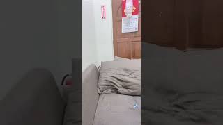 Periscope Beauty Girl My