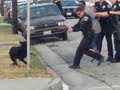 #BreakingItaly - Poliziotto spara e uccide un cane ma viene ripreso