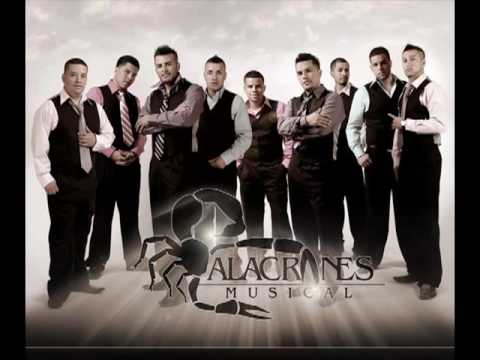 VIDEOS MUSICAL EN VIVO videos musical en vivo:
