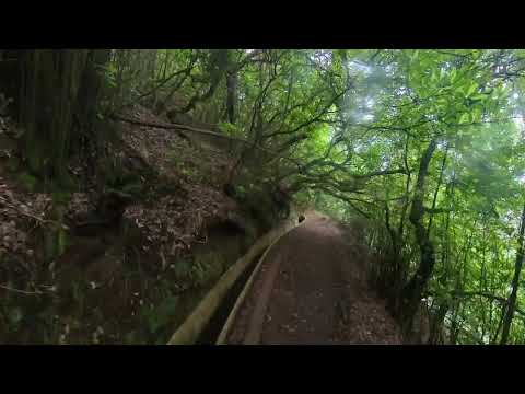 Levada Portella Levada Portella