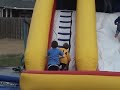 Pembroke Welsh Corgi on Slide with Kids