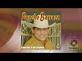 Pancho Barraza - Tu Castigo (Official Visualizer)