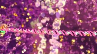 Watch Bjork Hollow video