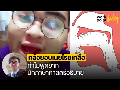 อธิบาย "กล้วยอบเนยโรยเกลือ" ตามหลักภาษาศาสตร์ | Workpoint Today