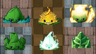 Plants Vs Zombies 2 Las 5 Mentas Del Juego
