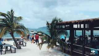 Foxy's Taboo & B-Line Bar British Virgin Islands | St Thomas Boat Charter | Phoenix Island Charters