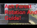 Ash Forest Rotation And Guide! | Black Desert Online