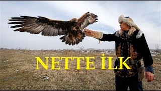 Kartal Ile Avlananlar Türkçe Dublajnette İlk