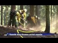 Firefighters in Yosemite battle to save ancient sequoias