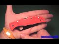 Spyderco Endura 4 Review