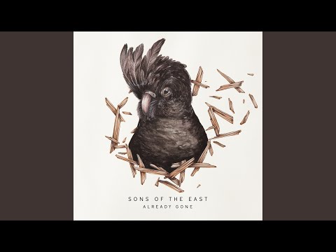 Fast And Slow Video