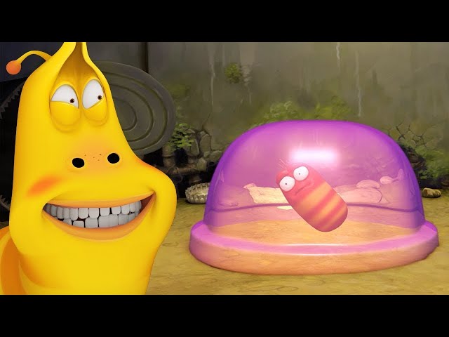 Watch Larva - Pudding | Larva | Cartoons for Kids | WildBrain Kids Online  Free - FREECABLE TV