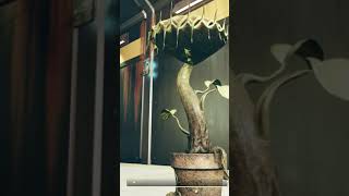 How Comfortable Is Man-Eating Er... Vampire Eating Plant Bed Fallout 76 Short Carnivorous Fo76 Short