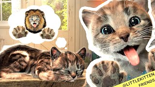 Little Kitten Preschool Adventure Educational Games -Play Fun Cute Kitten Best Learning Game #1033