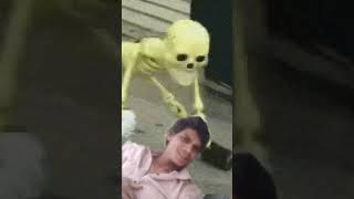Shubu