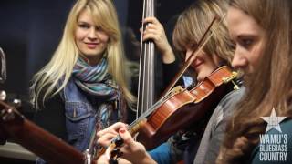 Watch Della Mae Turtle Dove video