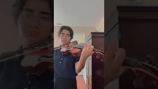 Reflections-Violin