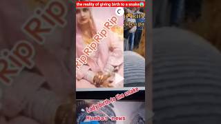 The Reality Of Giving Birth To A Snake True Crime Story L Aman