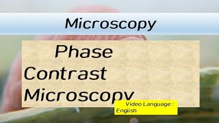 Phase contrast microscopy