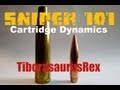 SNIPER 101 Part 2 - Cartridge Dynamics - Rex Reviews
