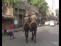 bharat bandh. amritsar paralyzed. petrol price hike protest.